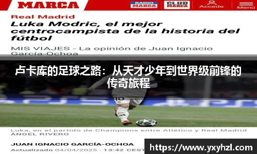 VSport体育官网入口