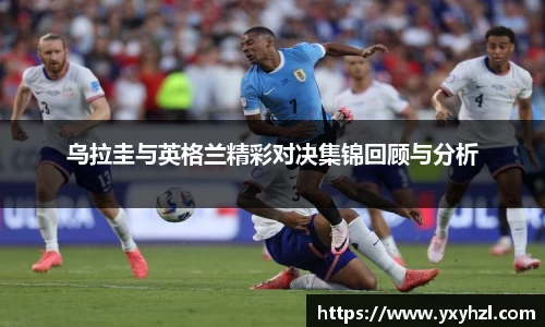 VSport体育官网入口