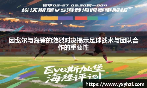VSport体育官网入口