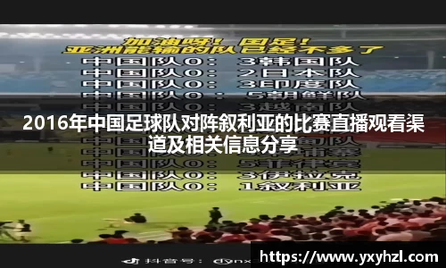 Vsport体育