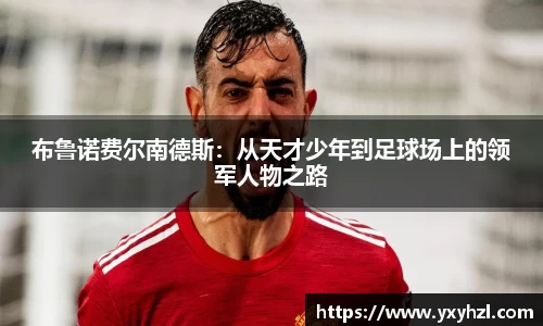 VSport体育官网入口